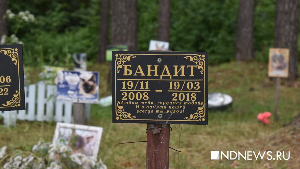 На радуге. Как в Екатеринбурге хоронят домашних питомцев (ФОТО, ВИДЕО)