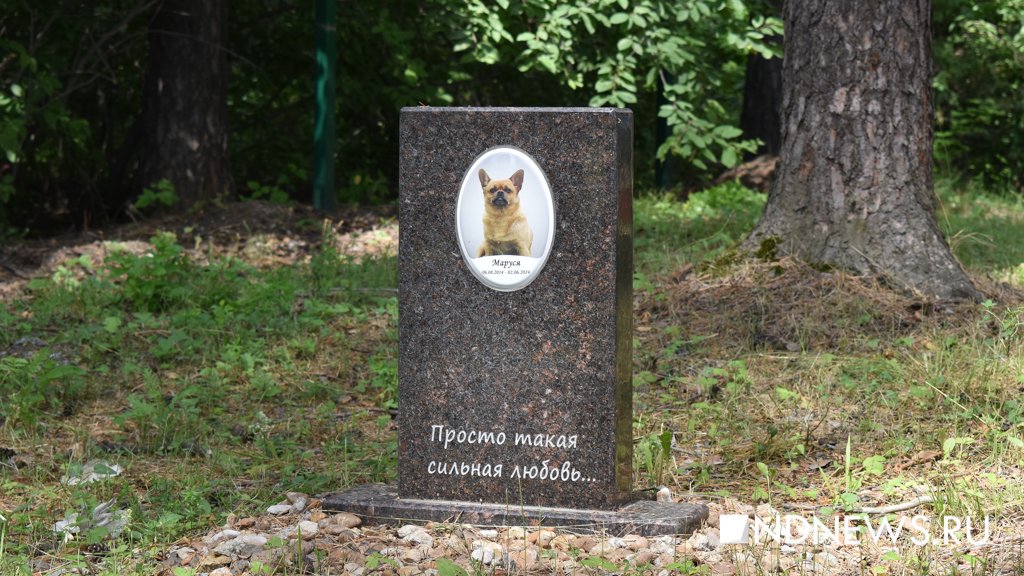 На радуге. Как в Екатеринбурге хоронят домашних питомцев (ФОТО, ВИДЕО)