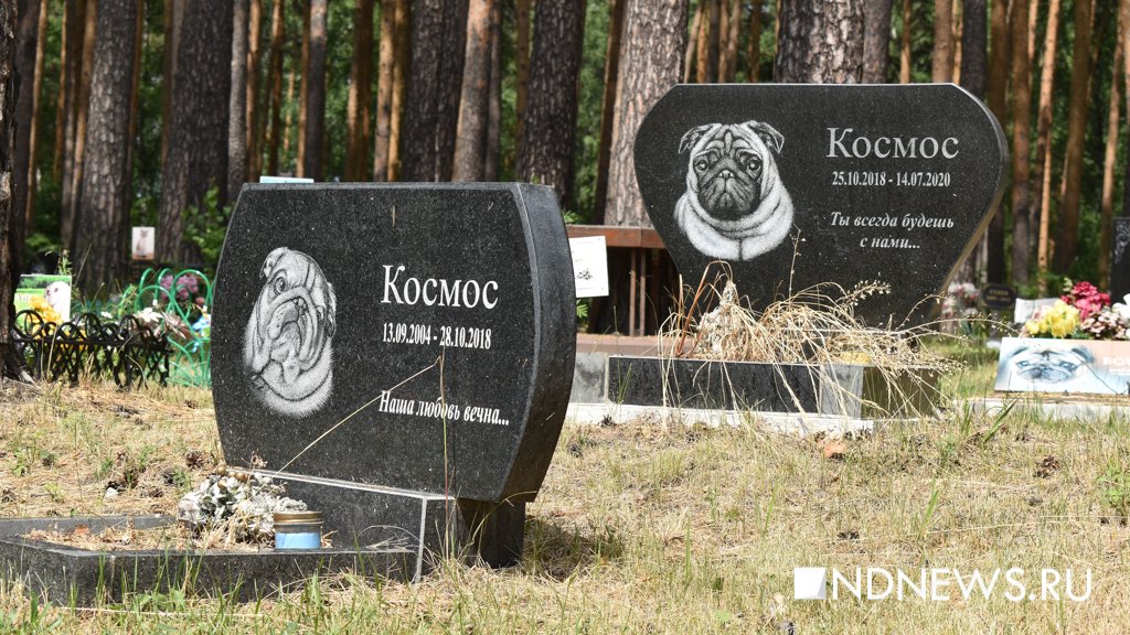 На радуге. Как в Екатеринбурге хоронят домашних питомцев (ФОТО, ВИДЕО)