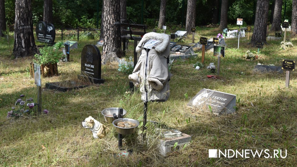 На радуге. Как в Екатеринбурге хоронят домашних питомцев (ФОТО, ВИДЕО)
