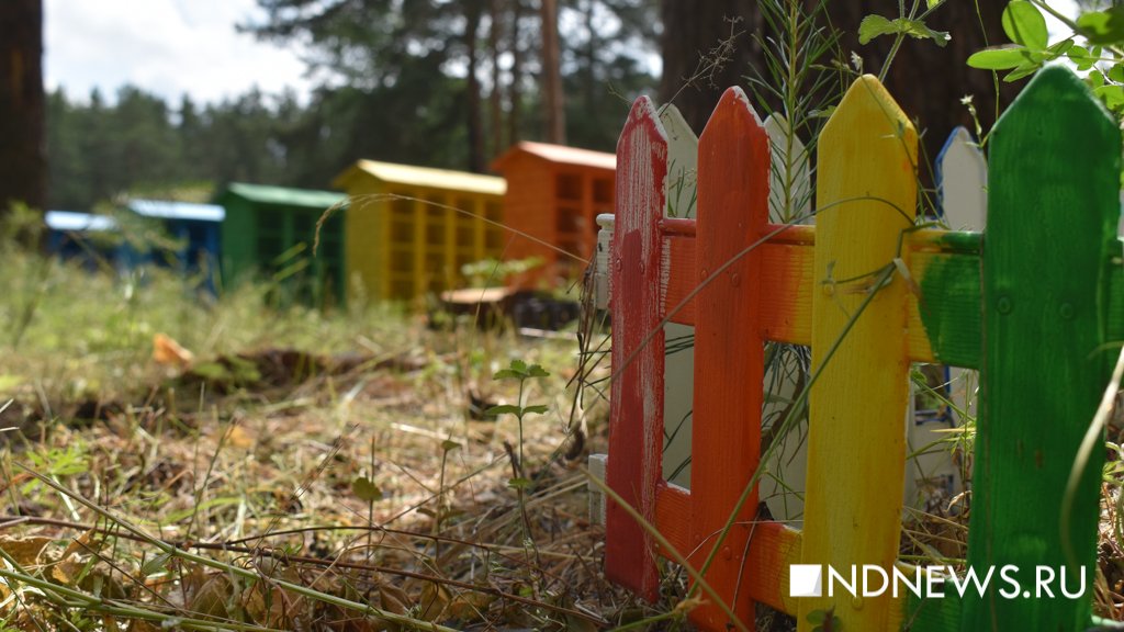 На радуге. Как в Екатеринбурге хоронят домашних питомцев (ФОТО, ВИДЕО)