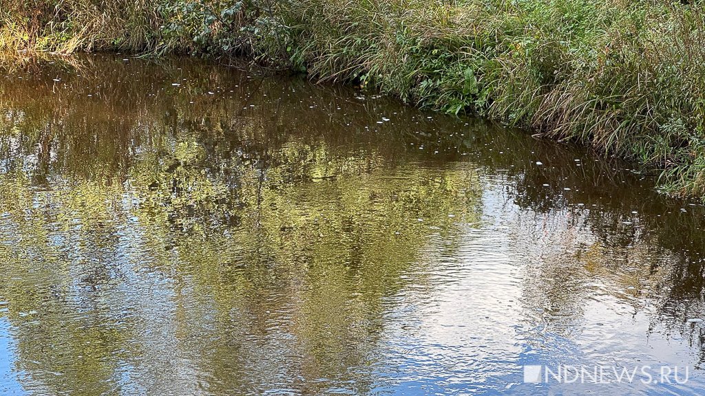 На Урал пришла золотая осень (ФОТО)
