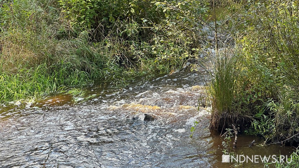 На Урал пришла золотая осень (ФОТО)