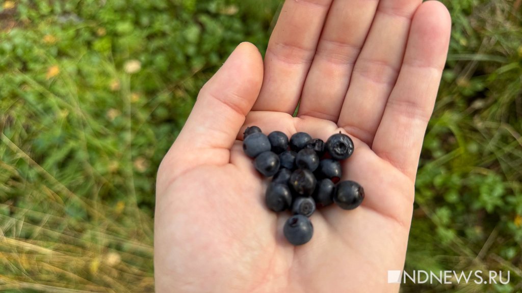 На Урал пришла золотая осень (ФОТО)