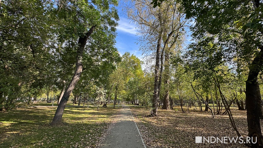 На Урал пришла золотая осень (ФОТО)