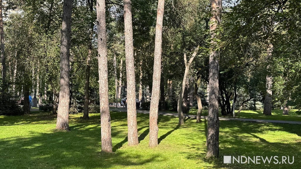 На Урал пришла золотая осень (ФОТО)