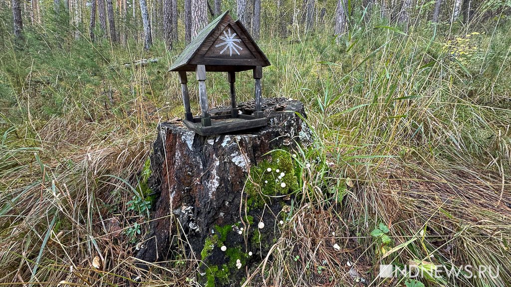 На Урал пришла золотая осень (ФОТО)