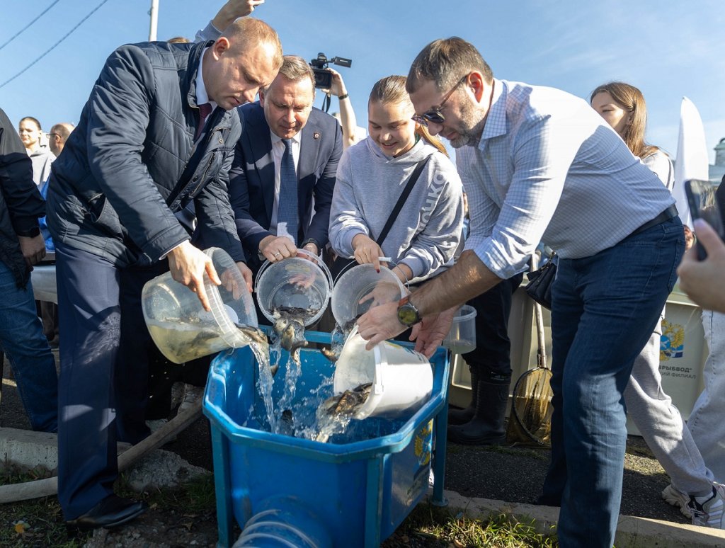 В городской пруд в Нижнем Тагиле выпустили несколько тысяч мальков сазана