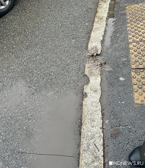 Наступил самый депрессивный месяц года на Урале (ФОТО)