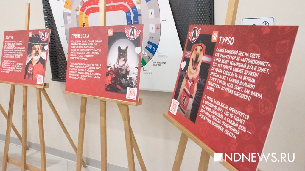 «Автомобилист» разгромил «Нефтехимик» в «пушистом» матче (ФОТО)