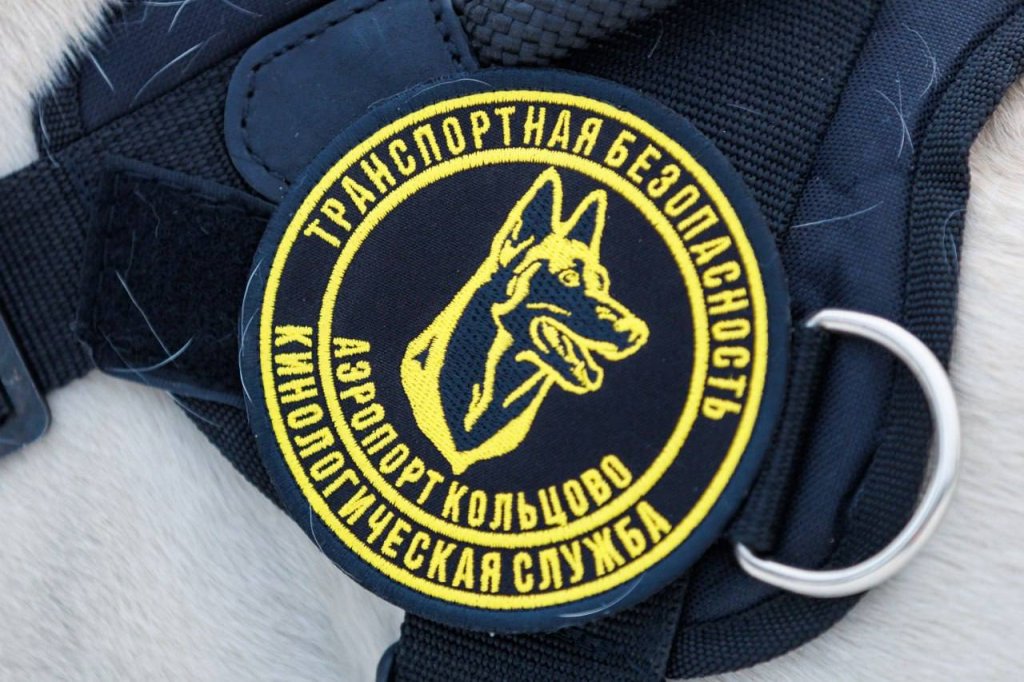 Кинологи Кольцово выучили собаку и отправили служить на край земли