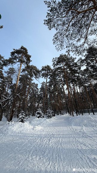 В Екатеринбург возвращается зима: будет -30 (ФОТО)
