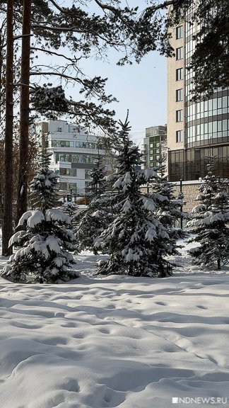 В Екатеринбург возвращается зима: будет -30 (ФОТО)