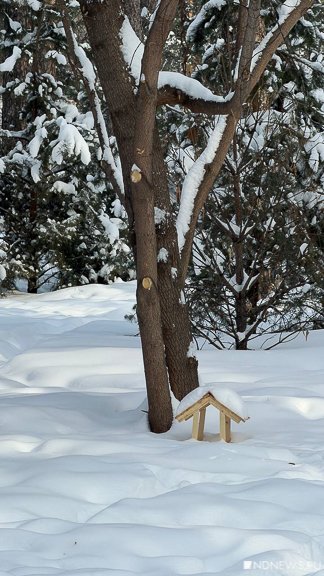 В Екатеринбург возвращается зима: будет -30 (ФОТО)