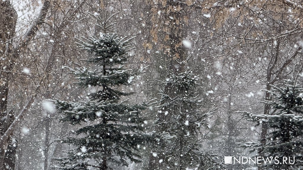 «На дорогах жутко», – в Екатеринбурге бушует апрельская метель (ФОТО)