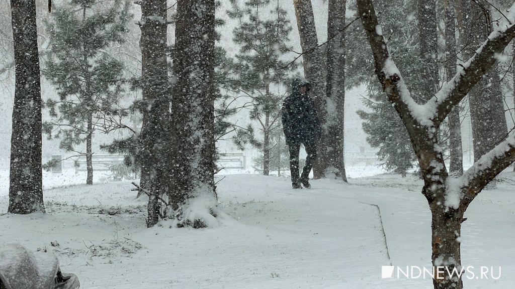 «На дорогах жутко», – в Екатеринбурге бушует апрельская метель (ФОТО)