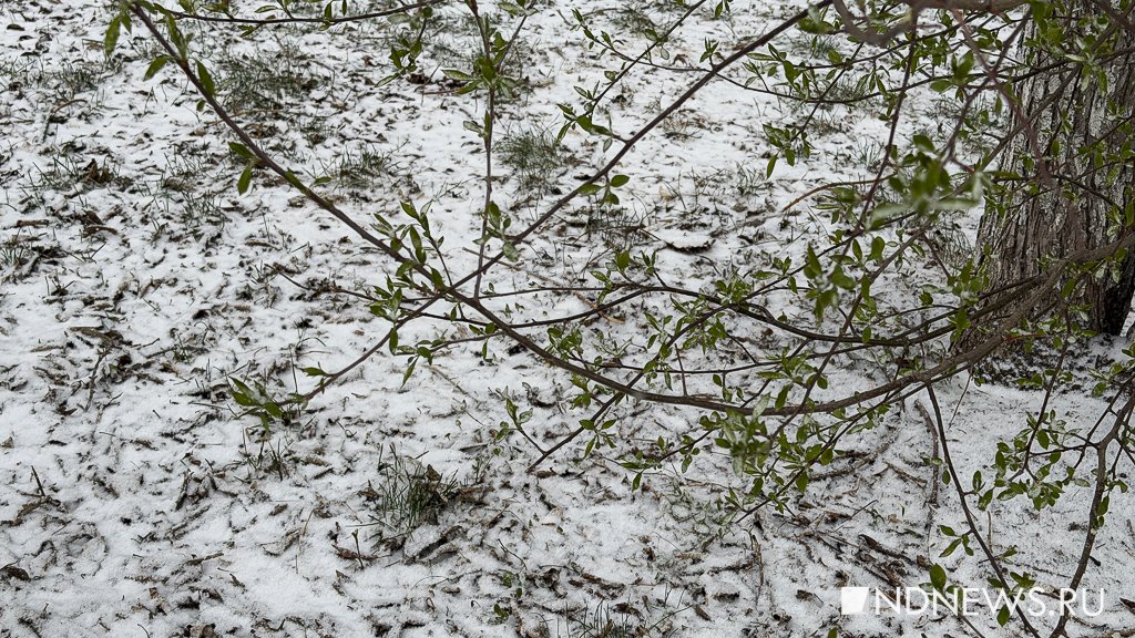 «На дорогах жутко», – в Екатеринбурге бушует апрельская метель (ФОТО)