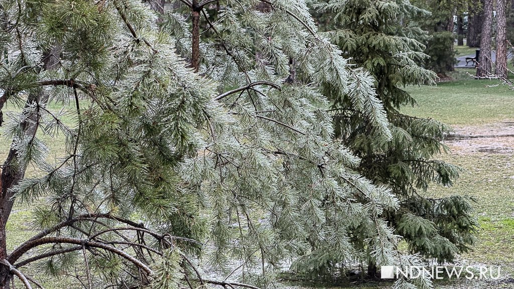 В Екатеринбурге пошел ледяной дождь (ФОТО)