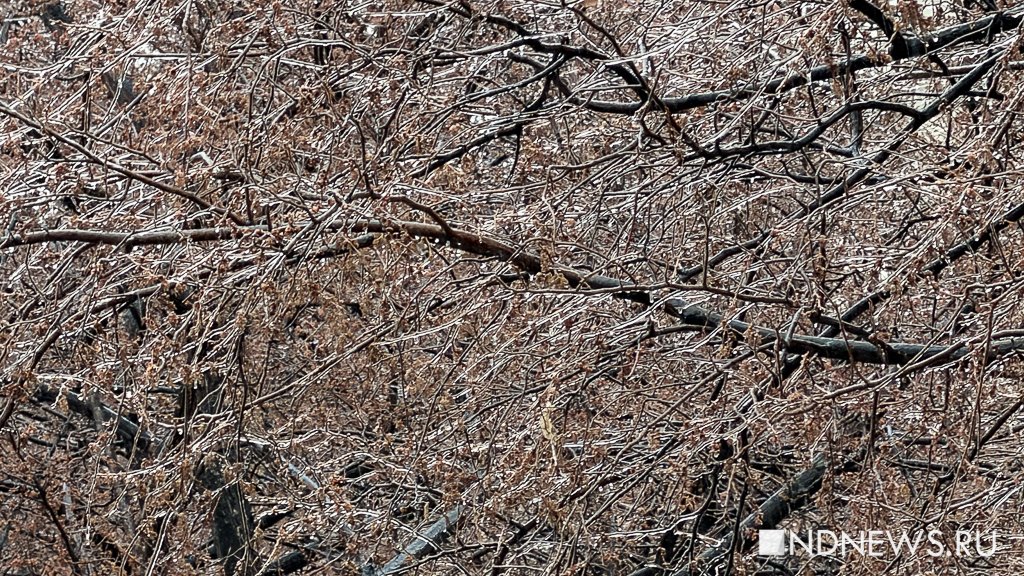 В Екатеринбурге пошел ледяной дождь (ФОТО)
