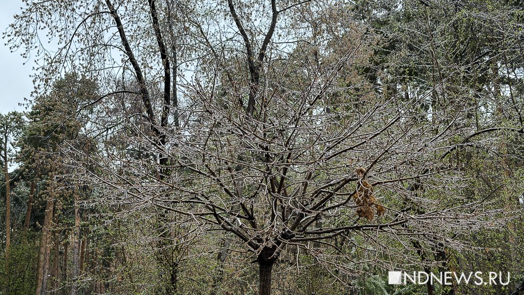 В Екатеринбурге пошел ледяной дождь (ФОТО)