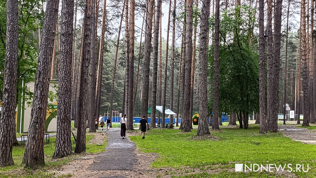 Загородные лагеря открыли летний сезон: 30 тысяч школьников Екатеринбурга отдохнут с пользой вдали от родителей (ФОТО)