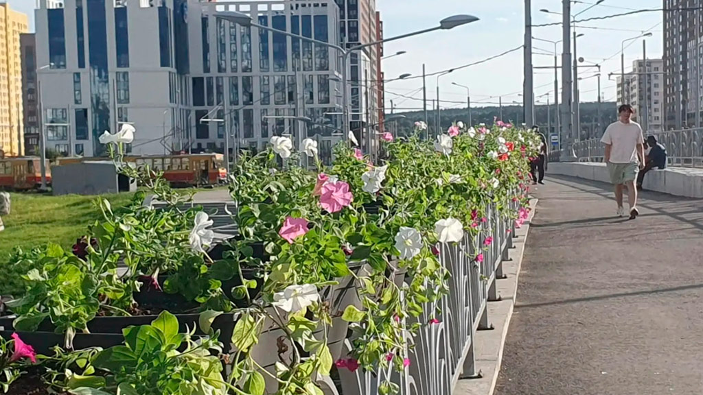 В Академическом прошло празднование Дня города