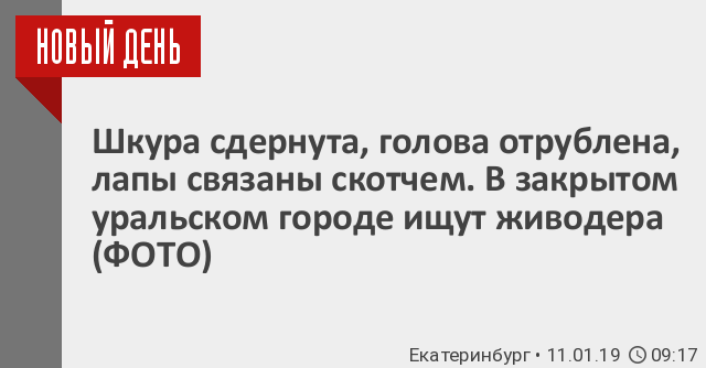 Связали скотчем. Девушку нашли мёртвой в лесу под Евпаторией | АиФ Крым