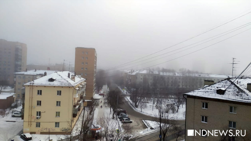 Новый День: Екатеринбург накрыл зимний туман (ФОТО)