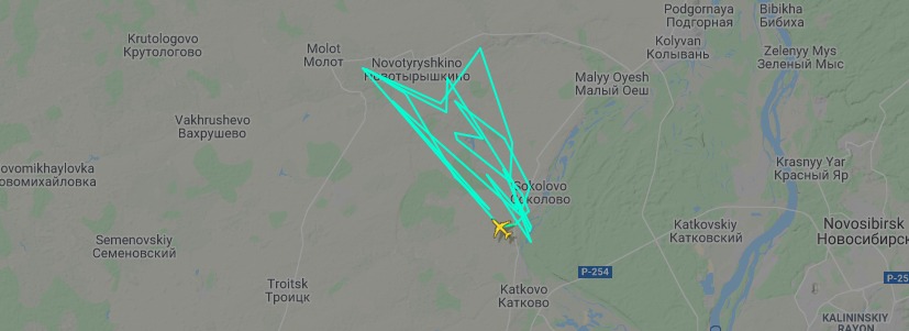 Новый День: Самолет S7, летевший в Екатеринбург, экстренно сел в Новосибирске