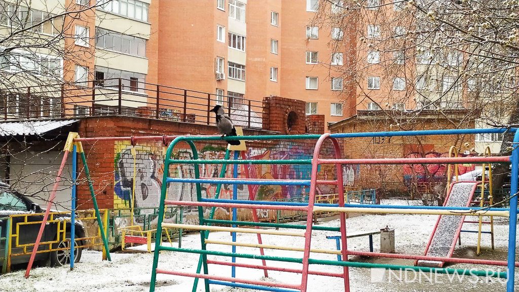 Новый День: Утром Екатеринбург засыпало снегом (ФОТО)