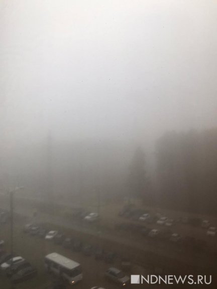 Новый День: Свердловскую область накрыл туман: УГИБДД обратилось к водителям и пешеходам