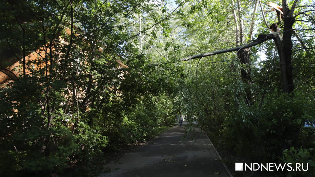 В Екатеринбурге на женщину упал столб из-за сильного ветра