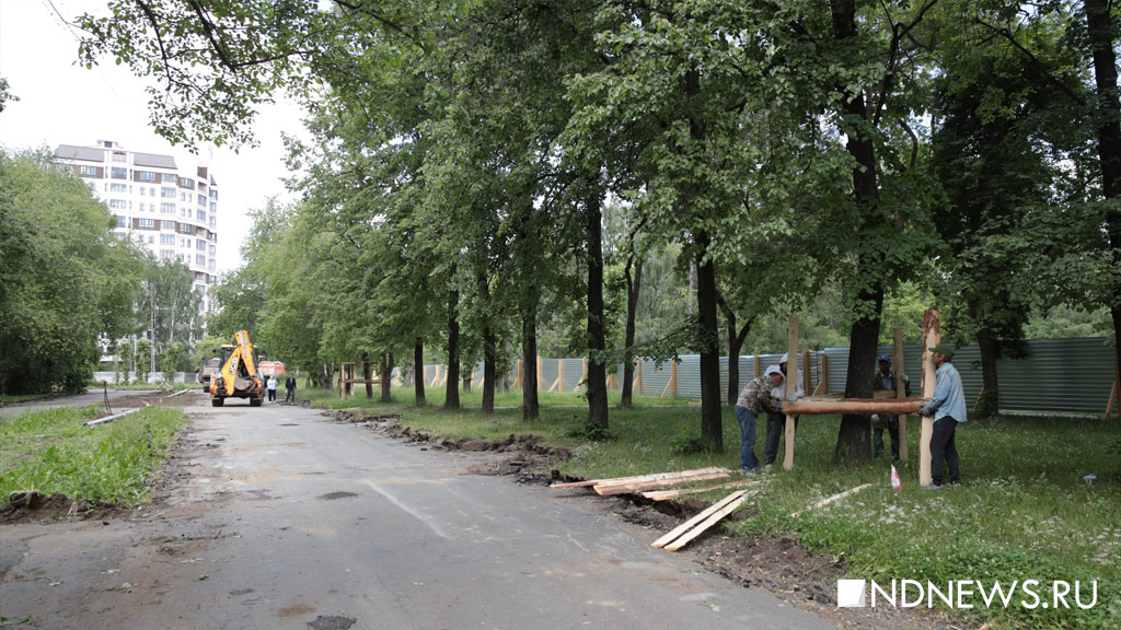 В парке у Дворца молодежи сломали дерево. Мэрия и подрядчик обвиняют противников реконструкции в провокации (ФОТО)