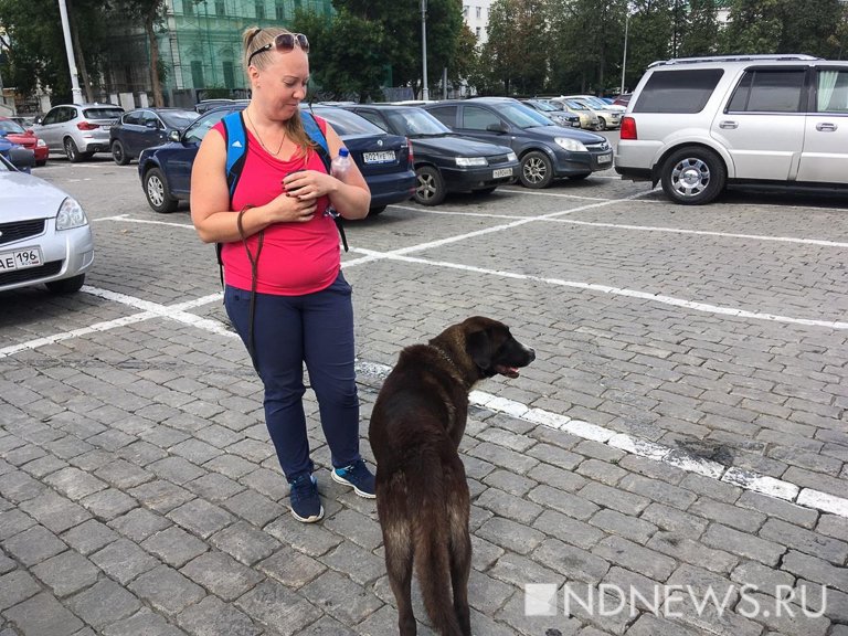 Новый День: Екатеринбурженка приютила собаку задержанного в сквере участника акции (ФОТО)