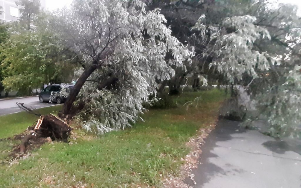 Новый День: В Челябинске почти двое суток ликвидировали последствия последней июльской грозы