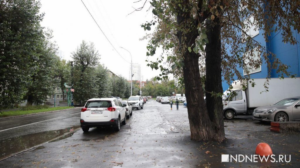 Новый День: В Екатеринбурге снова закатали деревья в асфальт (ФОТО)