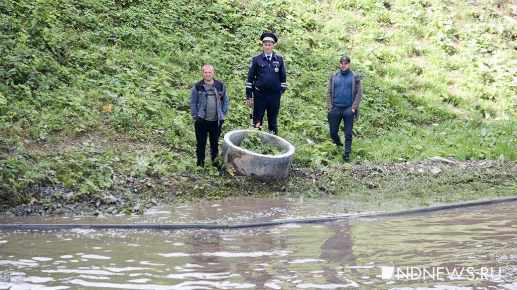 Новый День: В мэрии объяснили, почему не уходит вода с Шефской: кто-то завалил ливневку грунтом