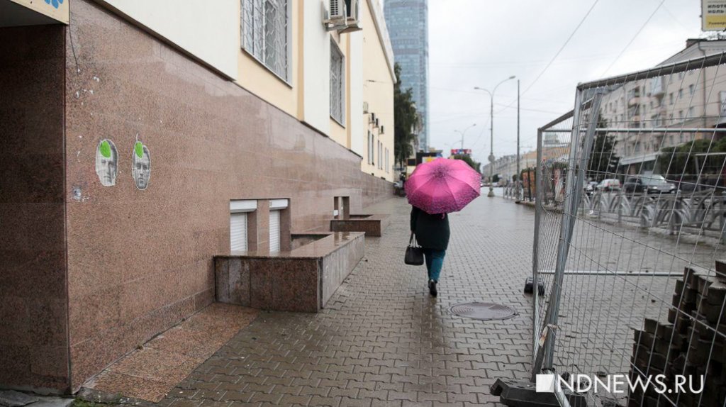 Новый День: В центре Екатеринбурга появился стрит-арт с изображением Навального с подорожником (ФОТО)