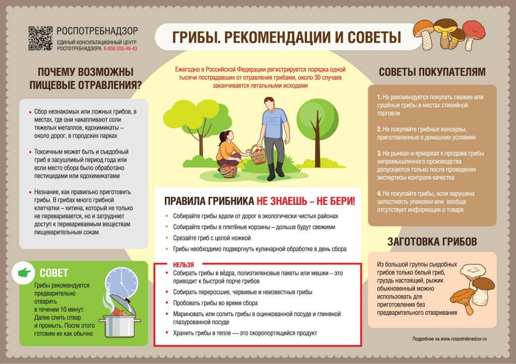 Новый День: На Урале семь человек отравились грибами