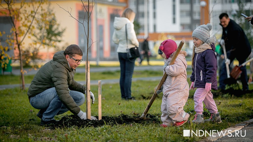 Новый День: Жители Академического во время субботника высадили более 500 молодых деревьев (ФОТО)