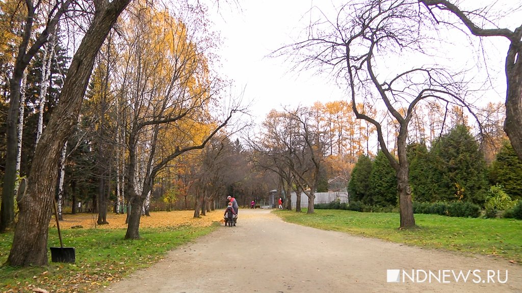 Новый День: В Екатеринбурге показали план по благоустройству дендрария на Первомайской (ФОТО)