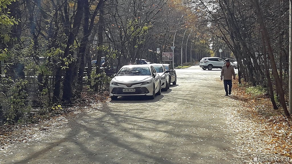 Новый День: Челябинский городской бор начали превращать в парковку (ФОТО)