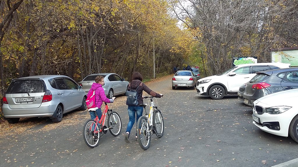 Новый День: Челябинский городской бор начали превращать в парковку (ФОТО)