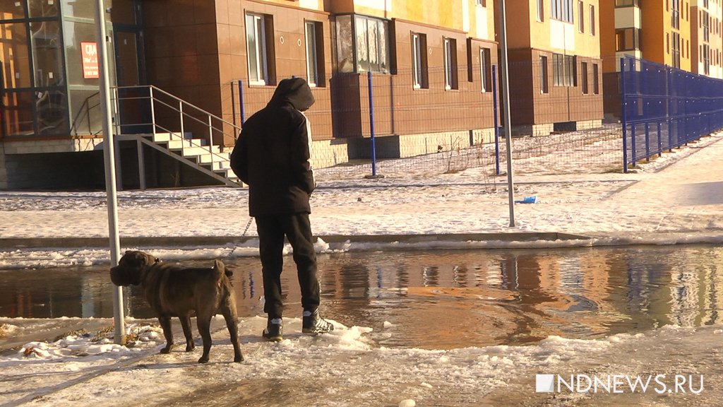 Новый День: Машины вмерзли в лед из-за аварии Водоканала (ВИДЕО)