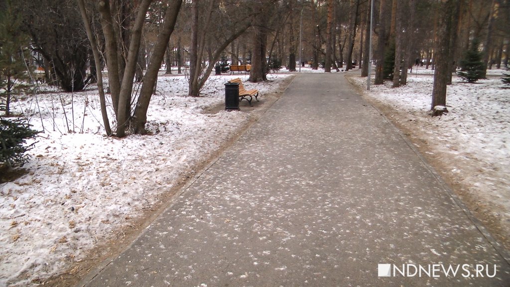 Новый День: Чиновники решили устранить ворон ради умиротворения в парке. Если это удастся, расплодятся крысы (ФОТО, ВИДЕО)