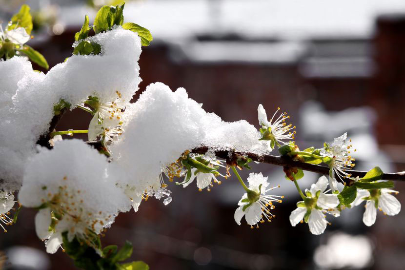 Новый День: Балканы завалило снегом (ФОТО)