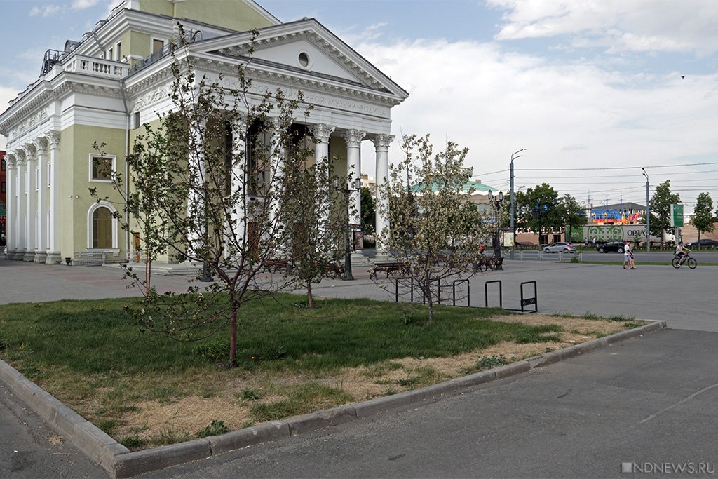 Новый День: Кладбище деревьев: в Челябинске массово гибнут зеленые насаждения (ФОТОРЕПОРТАЖ)
