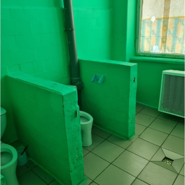 Новый День: Туалеты в свердловских школах борются за звание худших (ФОТО)