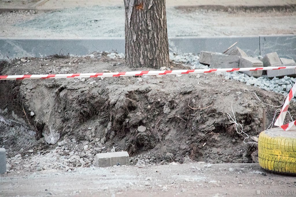Новый День: В Челябинске под носом администрации загубили здоровые тополя и пытаются угробить целую аллею (ФОТО)