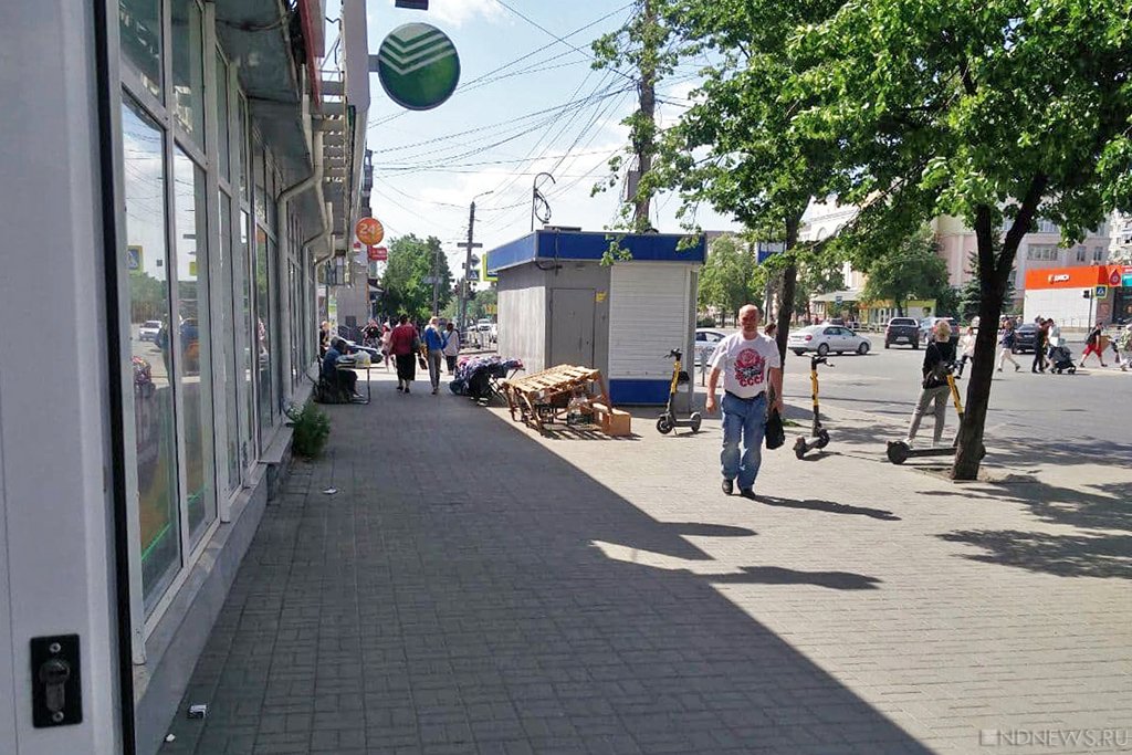 Новый День: В Челябинске под носом администрации загубили здоровые тополя и пытаются угробить целую аллею (ФОТО)